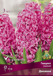 Гиацинт садовый Джоанна, 3шт, детальное фото