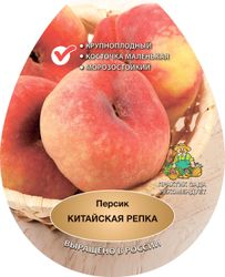 Растение Персик двухлетка ПОИСК С3 Н100 в ассортименте, детальное фото