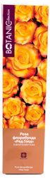 Растение Роза Флорибунда Botanic Collection Стромболи 1 шт в ассортименте, картинка