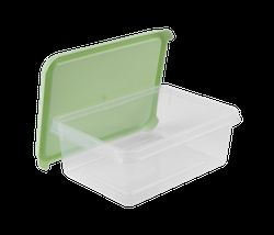 Контейнер Berossi Freshpak 1л зеленый, картинка