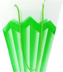 Сумка для Цветов Garden Show 26х24см пластик, в ассортименте, изображение