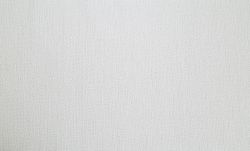Обои флизелиновые Palitra Planet Adventura PP31135-11 1.06x10.05 м, белый, картинка