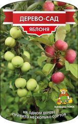 Саженец Яблоня Дерево-Сад C7,5 Н160, крупный план