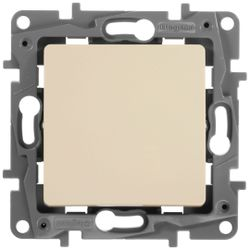Переключатель 1-клавишный Legrand Etika 672305 слоновая кость, крупный план