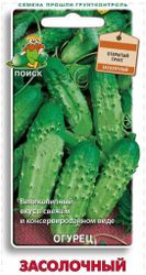 Семена Огурца ПОИСК Засолочный 15 шт, вид