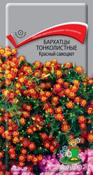 Семена Бархатца тонколистного ПОИСК Красный самоцвет 0,1 г, вид