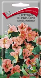Семена Настурции низкорослой ПОИСК Малышка лососевая 1 г, крупный план