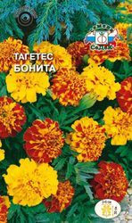 Семена Бархатца СеДек Бонита 0,2 г, вид