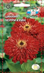 Семена Циннии СеДеК Черри Куин 3 г, крупный план