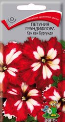 Семена Петунии крупноцветковой ПОИСК Кан Кан бургунди 10 шт, детальное фото