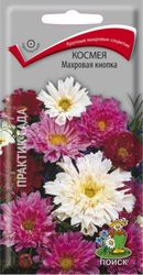 Семена Космеи ПОИСК Махровая кнопка 0,1 г, фото