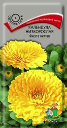 Семена Календулы низкорослой ПОИСК Фиеста желтая 0,3 г, картинка