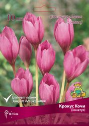 Луковицы Крокуса Поиск Кочи Зонатус, 10шт, детальное фото