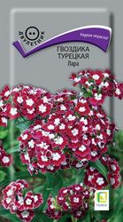 Семена Гвоздика турецкая Лара 0,3 гр, вид