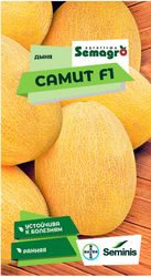 Семена дыни SEMINIS САММИТ F1, крупный план