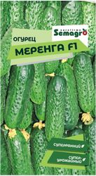 Семена огурца SEMINIS МЕРЕНГА F1, изображение