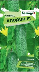 Семена огурца SEMINIS КЛОДИН F1, изображение