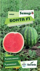 Семена арбуза SEMINIS БОНТА F1, вид