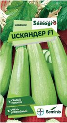 Семена кабачок SEMINIS ИСКАНДЕР F1, изображение
