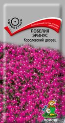 Семена Лобелия Эринус Королевский Дворец 0,1 г, крупный план