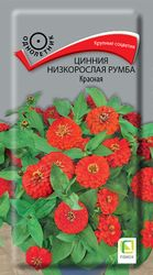 Семена Цинния низкорослая Румба Красная 0,1 гр, картинка