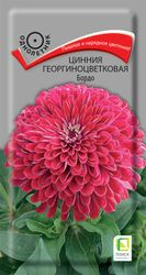 Семена Цинния георгиноцветковая Бордо 0,4 гр, изображение