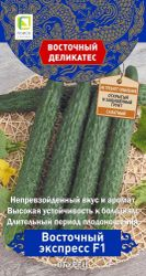 Семена Огурца Восточный экспресс 5 шт, крупный план