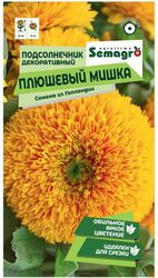 Семена Подсолнечника SEMAGRO Плюшевый мишка 0,5 г, детальное фото