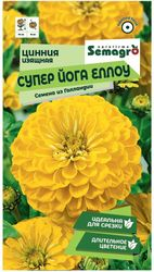 Семена Цинии изящной SEMAGRO Супер Йога Еллоу 20 шт, вид