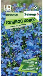 Семена Лобелии SEMAGRO Голубой ковер 0,1 г, вид