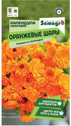 Семена Календулы махровой SEMAGRO Оранжевые шары 0,5 г, фотография