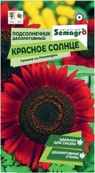 Семена Подсолнечника декоративного SEMAGRO Красное солнце 0,5 г, крупный план