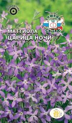 Цветок Маттиола Царица ночи, вид