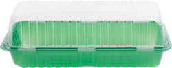 Мини-парник для выращивания рассады GIARDINO CLUB 39х16х13см с крышкой, на 2 вставки, Арт. 64674, детальное фото