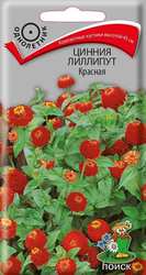Семена цинния лиллипут красная, фотография