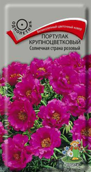 Семена портулак солнечная страна роз, картинка