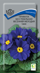 Семена Примула бесстебельная Весенняя мелодия Синяя 10шт, детальное фото