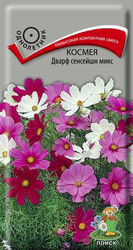 Семена Космея Дварф Сенсейшн Микс 0,2 г, изображение
