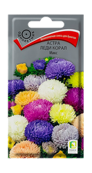 Семена Астра Леди Корал Микс 0,1гр, вид