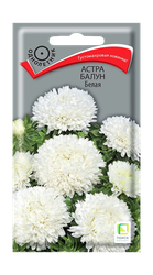 Семена Астра Балун Белая 0,1гр, крупный план