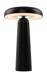 Аккумуляторный светильник Freya FR6109TL-L4B Черный LED, изображение