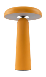 Аккумуляторный светильник Freya FR6109TL-L4OR Желтый LED, детальное фото