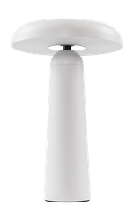 Аккумуляторный светильник Freya FR6109TL-L4W Белый LED, картинка