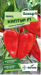 Семена перца SEMINIS КАПТУР F1, 5 шт, изображение