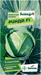 Семена капусты белокачанной SEMINIS РИНДА F1, детальное фото