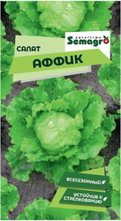 Семена салата SEMINIS АФФИК, фото
