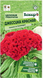 Семена Целозии гребенчатой SEMAGRO Джессика красная 15 шт, детальное фото