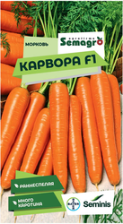 Семена моркови SEMINIS КАРВОРА F1, детальное фото