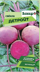 Семена Свёклы SEMAGRO Детройт, вид