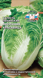 Семена капуста весенняя красавица, вид